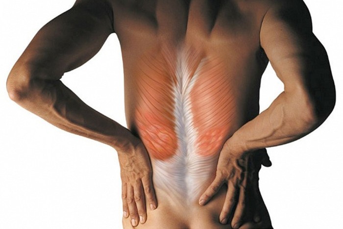 Low Back Pain Muscle Tension