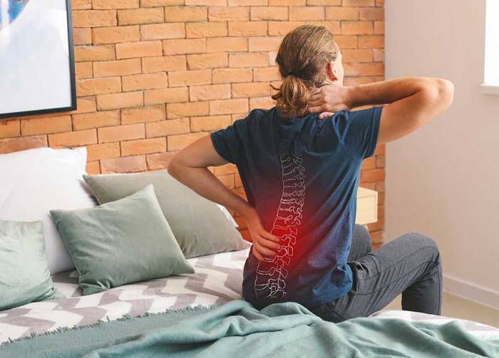 Low Back Pain Visceral Origin
