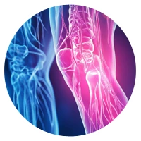 Functions of Sports Physiotherapy 4